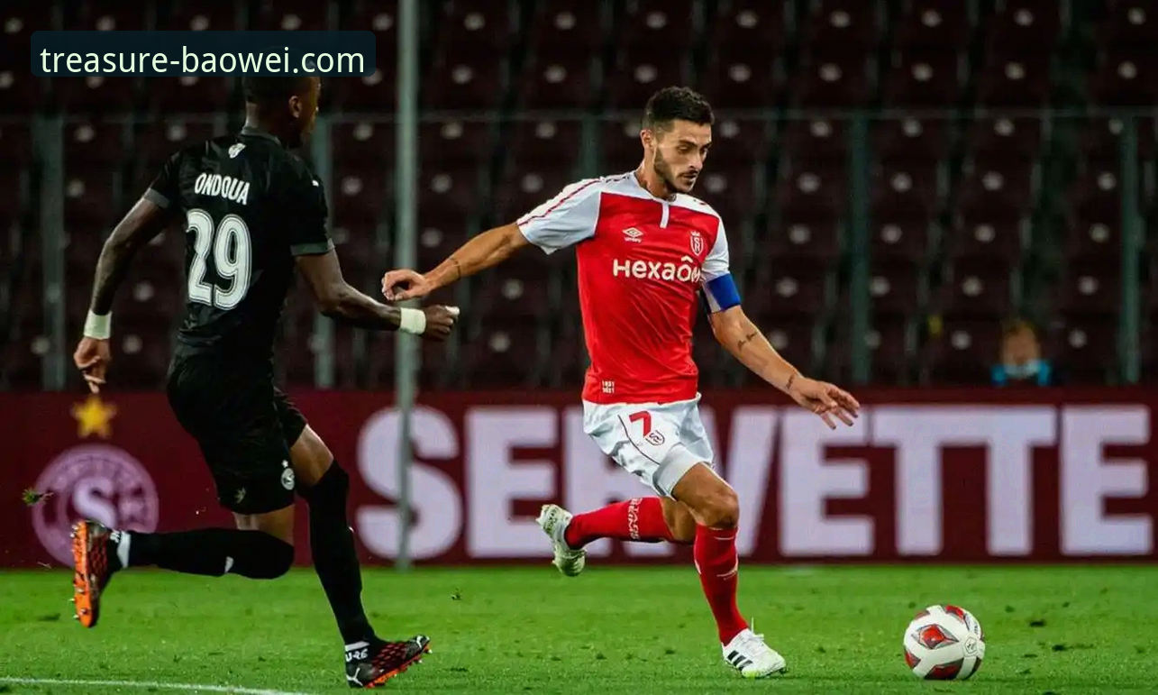 宝威游戏下载官方下载 阿根廷世界杯备战突遭重创,帕尼切利伤退最新进展